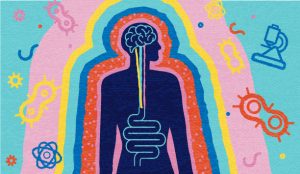 Autismo e Intestino: un percorso di cura che abbraccia la persona