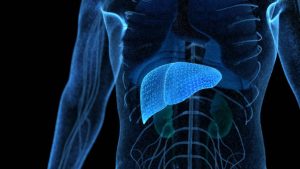 FibroScan® e CAP: esame non invasivo per valutare salute del fegato e steatosi epatica