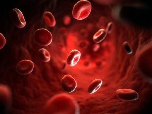anemia cure e prevenzioni a torino